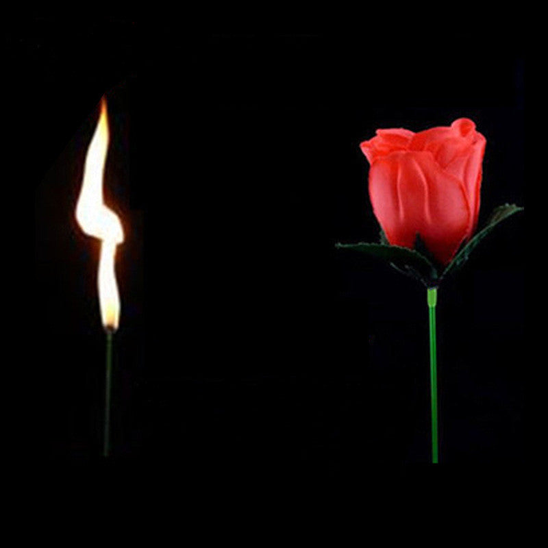 Magic Torch Rose