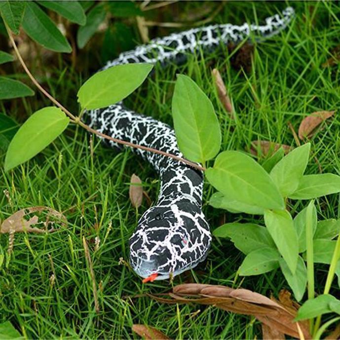 remote snake toy